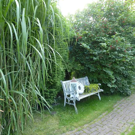 Stoertebeker - Ralswiek Ot Gnies