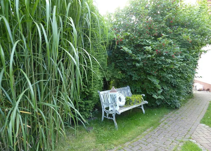 Stoertebeker - Ralswiek Ot * Gnies